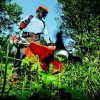 garden, grass cutter, gardening, nature, grass, man, outdoors, person, tools, gardener, green grass